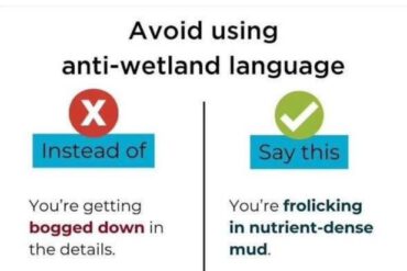 Anti Wetland Language