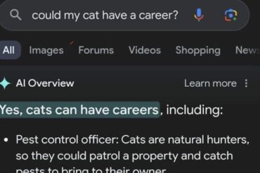 Cat Careers