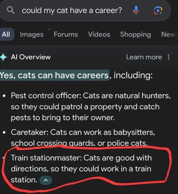 Cat Careers