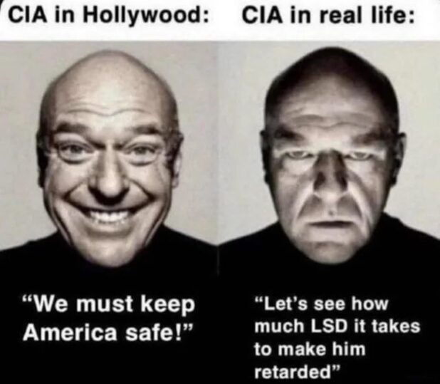 Cia Real Life