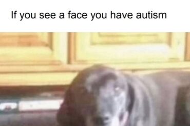Dog Face