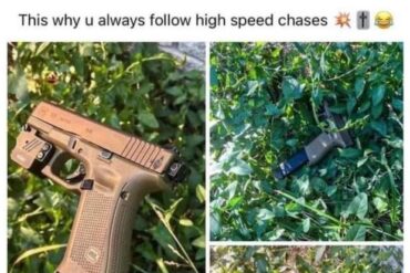 Follow Chases