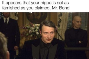 Hippo Bond