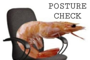 Posture Check