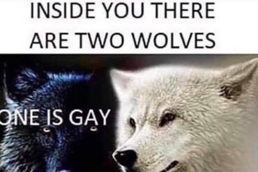 Two Wolves