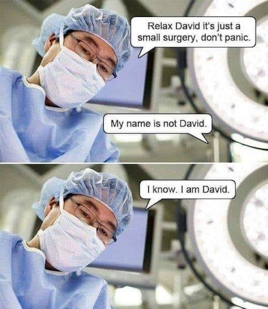 Wholesome David