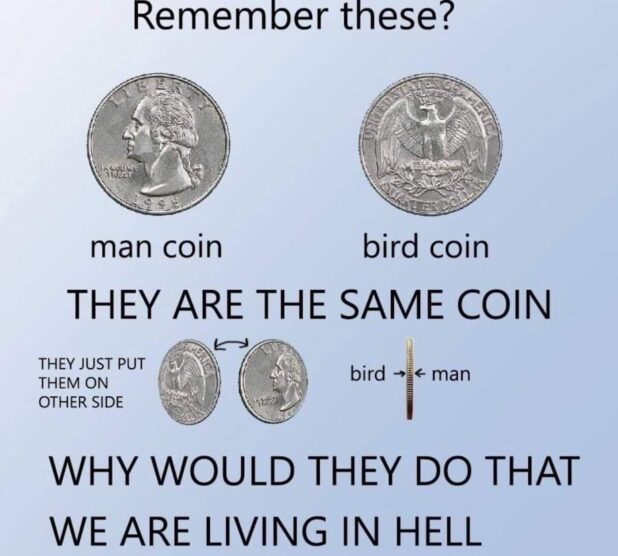 Man Coin Bird Coin