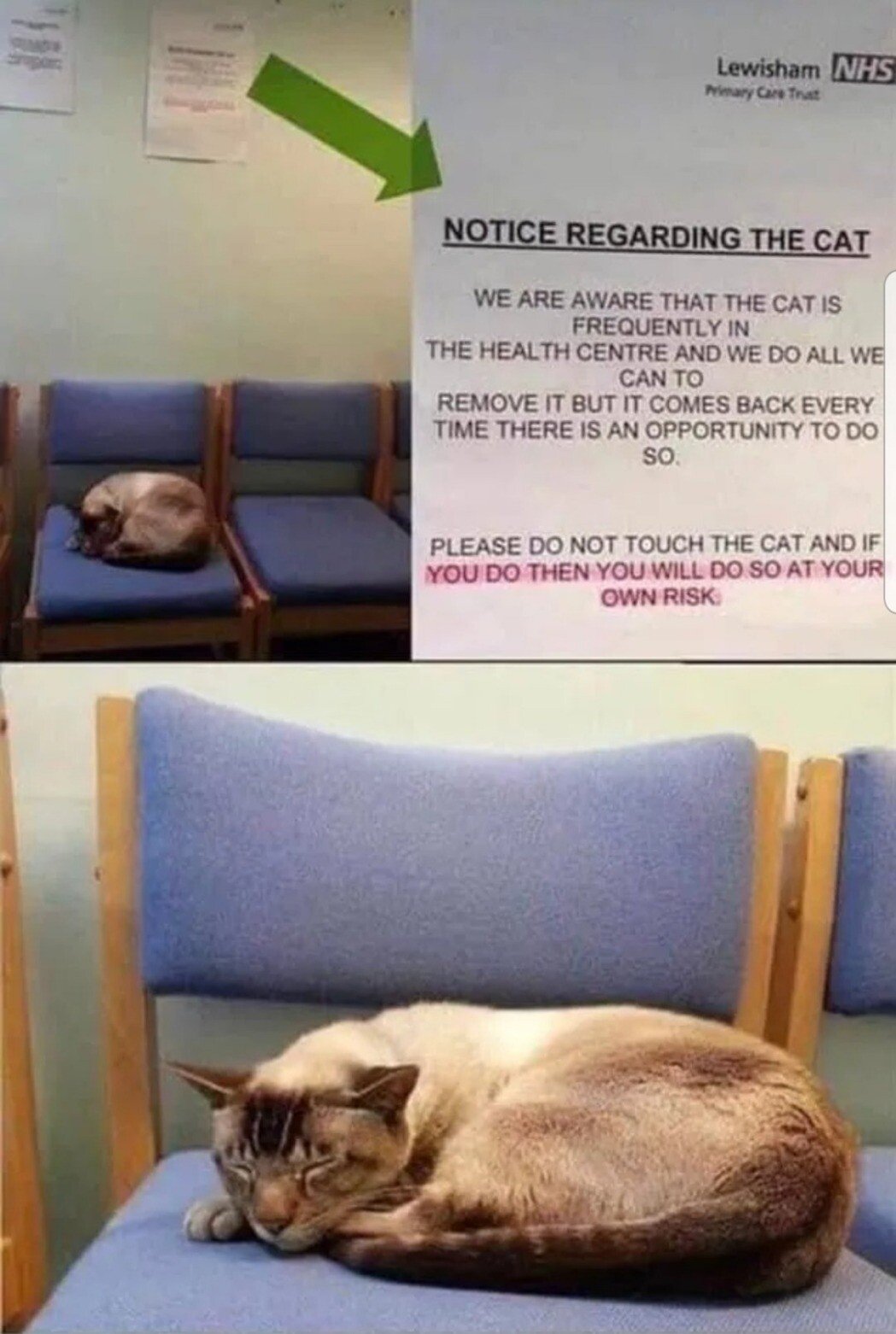 Nhs Cat