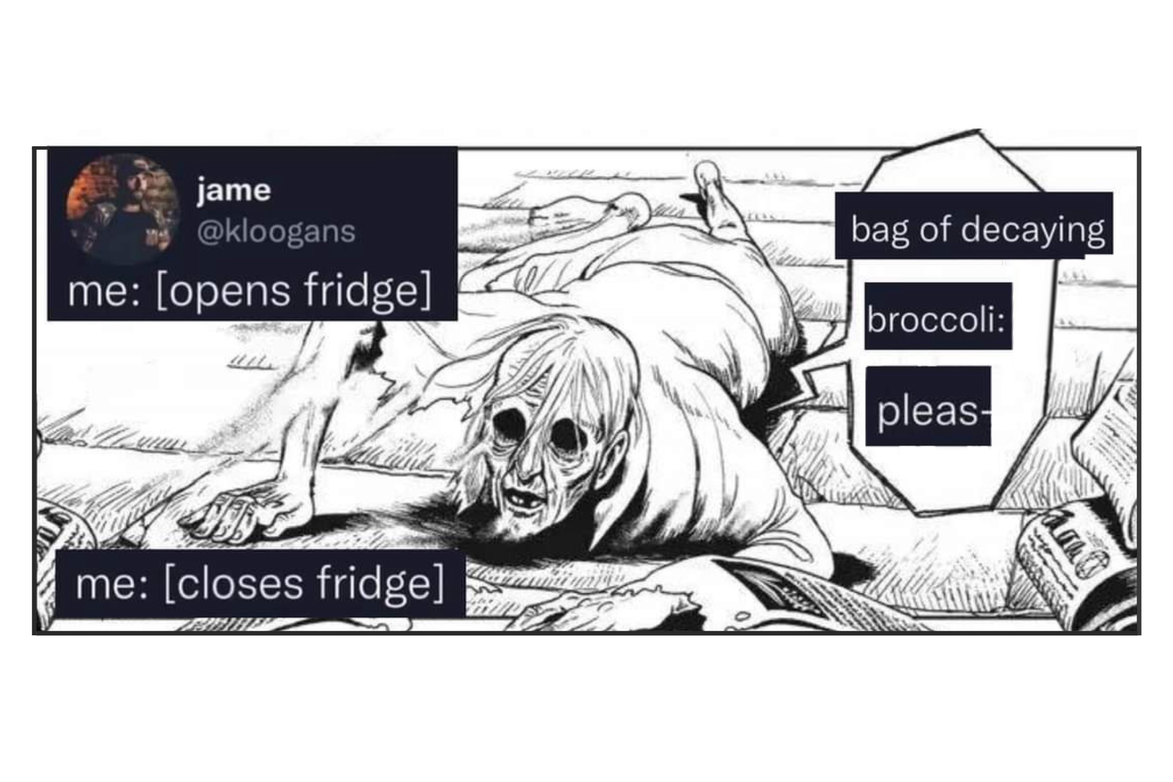 Opens Fridge