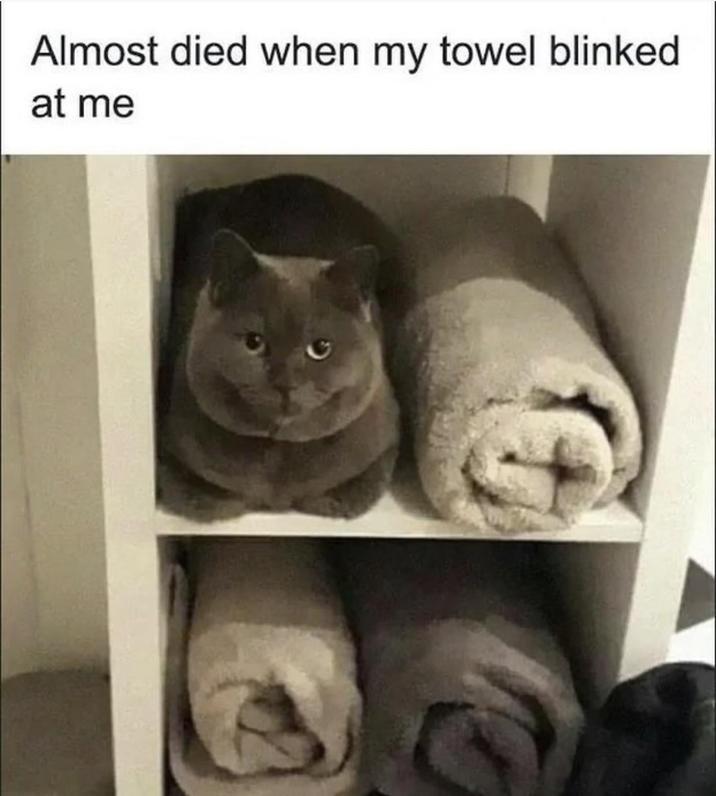 Towel Blinked