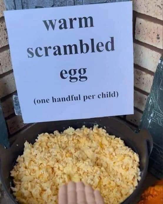 Warm Scrambled Egg