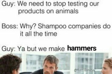 Wholesome Hammers