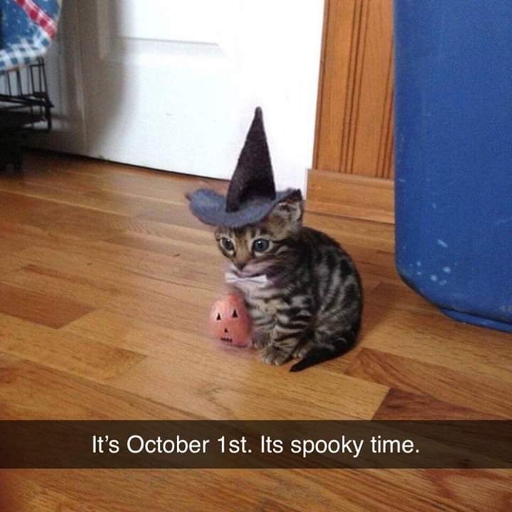 Its Spooky Time