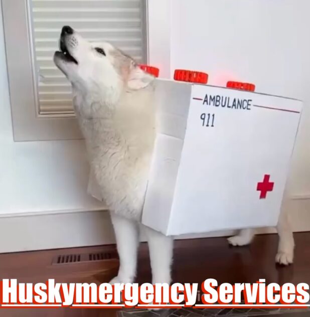 Huskymergency Services