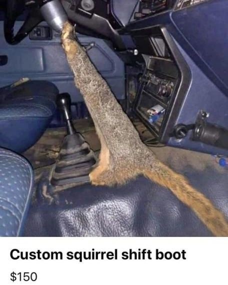 Squirrel Shifter